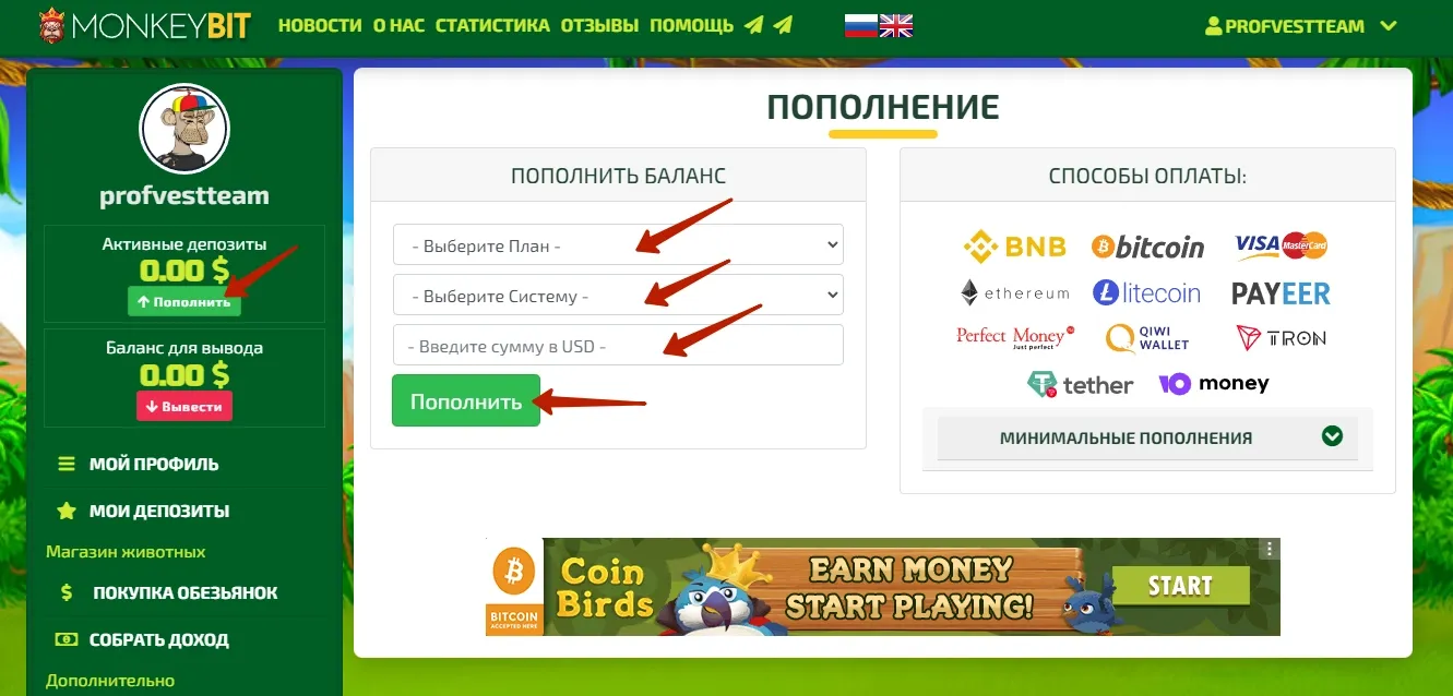 Пополнение баланса в MonkeyBit