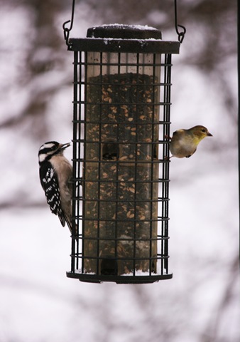 january 2010 090