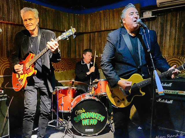 The Hipp Pipps at Otto's Shrunken Head on November 20 (photograph by Alan Rand)