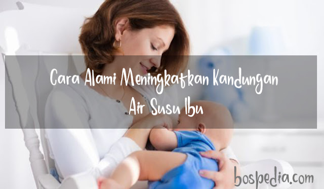 Cara Alami Meningkatkan Kandungan Air Susu Ibu (Asi)