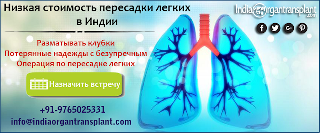 https://www.indiaorgantransplant.com/lung-transplant-low-cost-best-hospitals-top-surgeons-india-russian.php