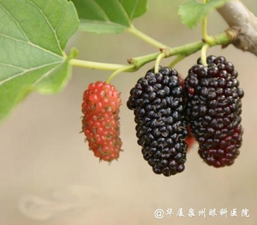 clip_image007