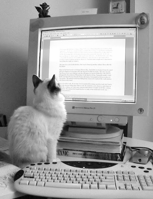 Literary cat by SuziJane from flickr (CC-SA)