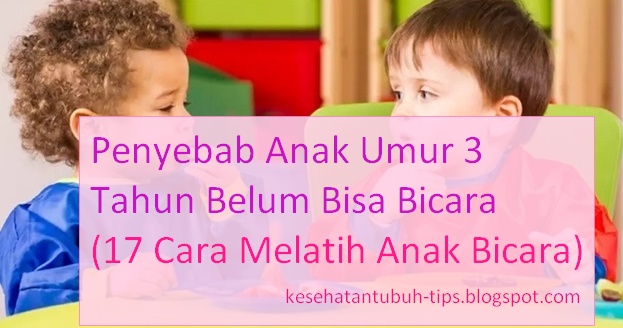 Penyebab Anak  Umur 3  Tahun  Belum Bisa Bicara 17 Cara 