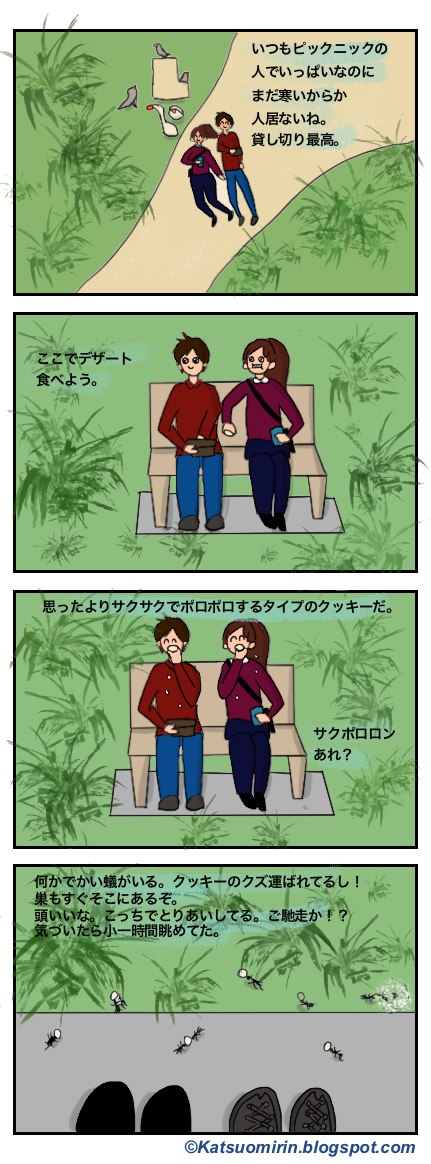 賢いオーストラリアの蟻