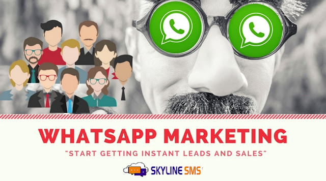 Whatsapp Marketing Service Provider | Skyline SMS