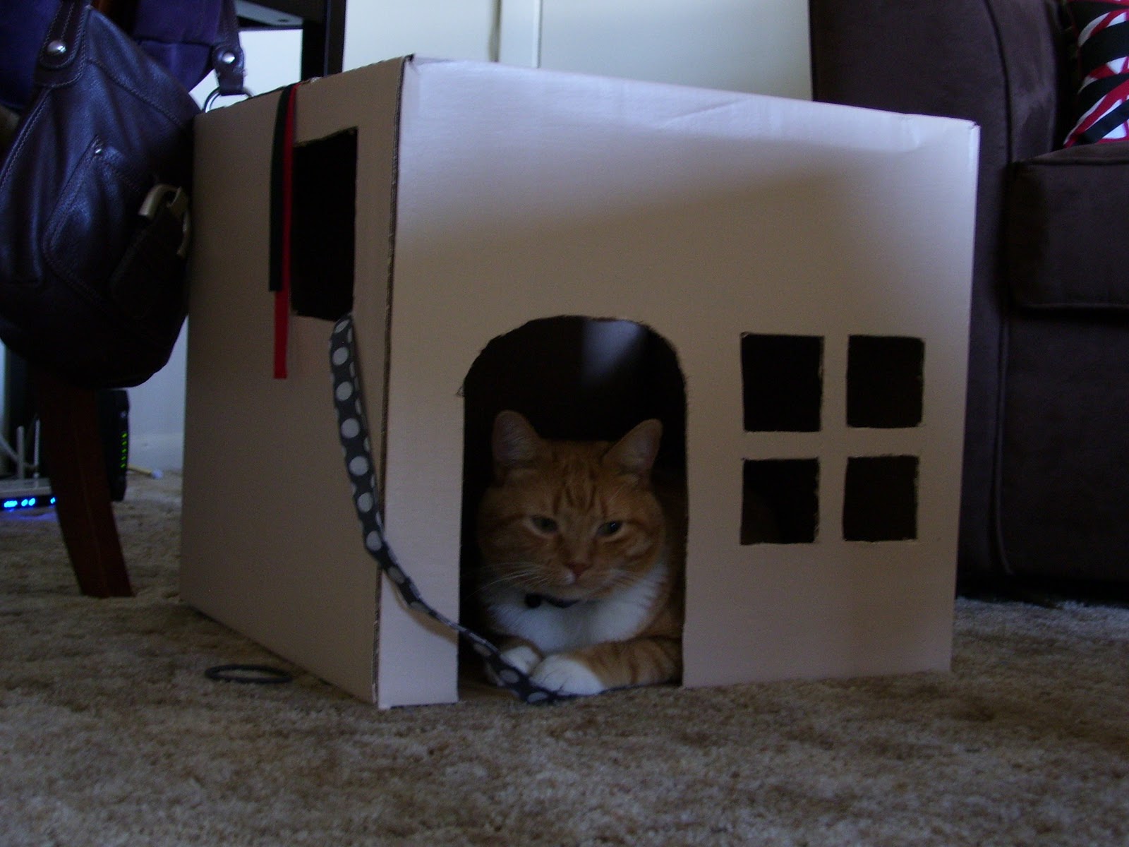 apartment houses Cat Cardboard Box House | 1600 x 1200