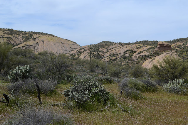 rounded rocks