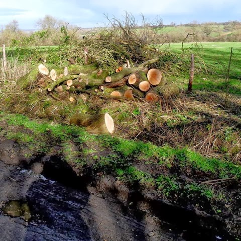 storm damage