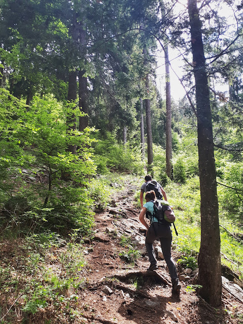 Steep hiking trail to the dromae fields in Valle di Ledro