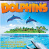 Dolphins (2000) - Loài Cá Heo