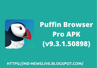 Puffin Browser Pro APK (v9.3.1.50898)