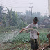 Harga Sayuran di Jambi Melambung