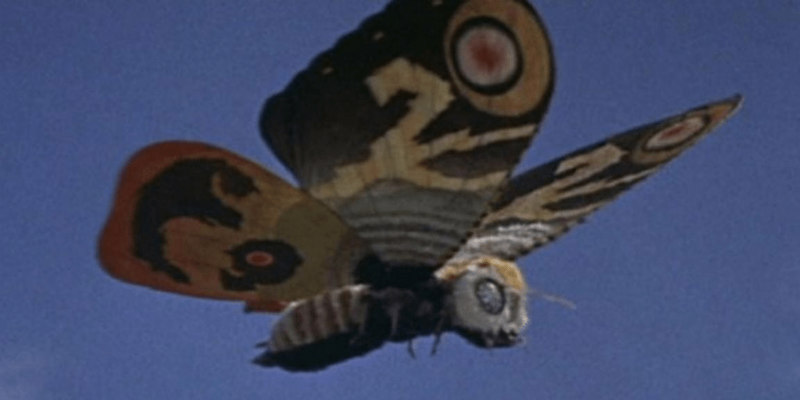 mothra review