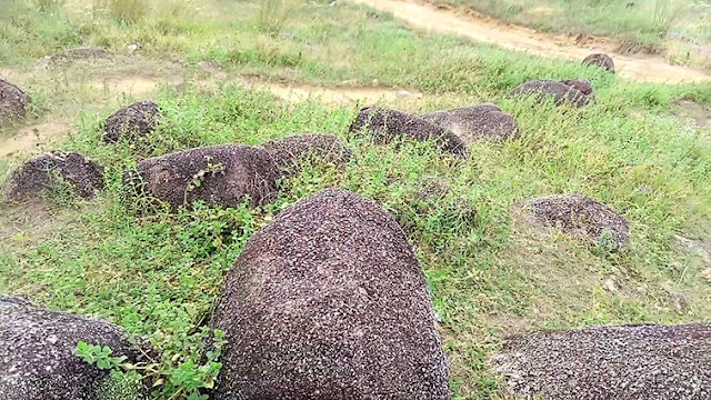 Hamparan bebatuan di Bukit Batu Hitam Sumber Priangan Ketapang Photo