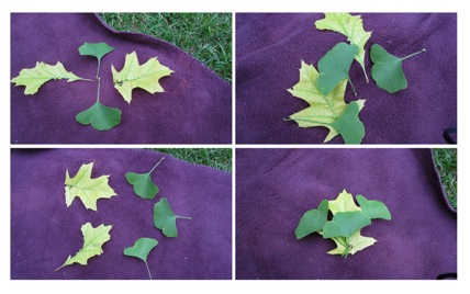 Leaves-2010-06-26-23-40.jpg