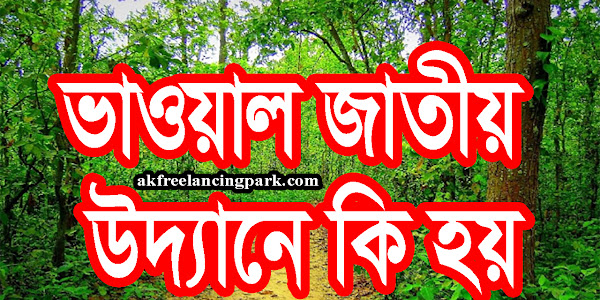 ভাওয়াল জাতীয় উদ্যানে কি হয়
