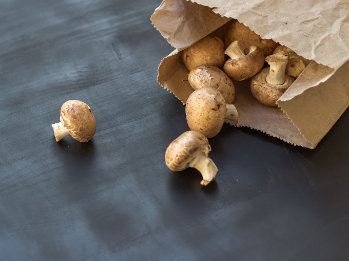 How to Use Mushrooms | Fresh & Dry mushrooms | Biobritte mushroom center