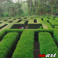 Foto taman labirin di Coban Rondo - Malang