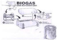 pemanfaatan kotoran sapi dalam pembuatan biogas