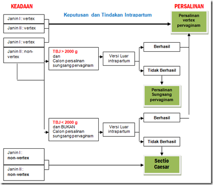atau jika satu ovum yang sudah dibuahi mengalami pembelahan terlalu dini sehingga membentu KEHAMILAN KEMBAR