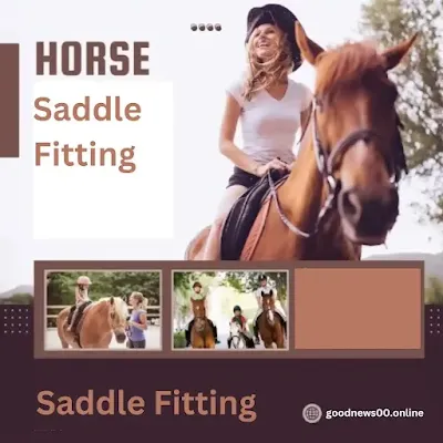 The Ultimate Guide to Saddle Fitting: Ensuring Comfort and Performance for You and Your Horse