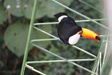 IMG_6757