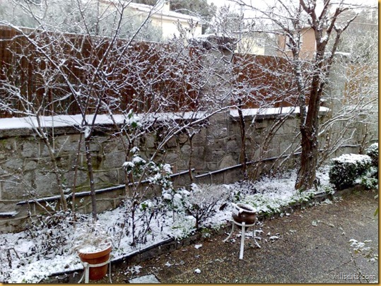 nieve2-09012009353
