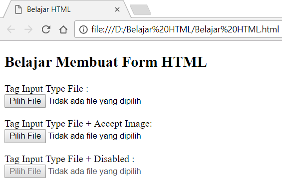 Tag input type hidden dengan atribut accept dan disabled