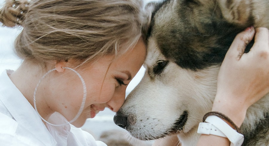 La ciencia confirma que los perros reconocen fácilmente a una persona mala