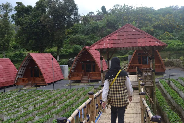 Ciwalini Cottage: Nikmati Liburan Keluarga yang Menyenangkan di Ciwidey, Bandung