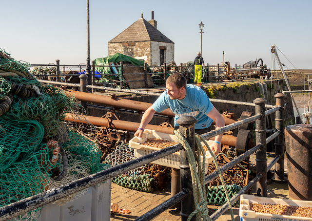 Photo of Winsome owner Tom Watson carrying a container full of shrimps