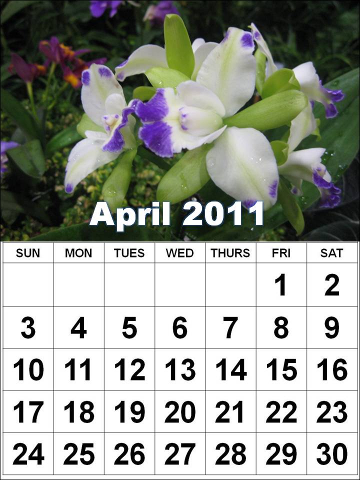 2011 calendar april