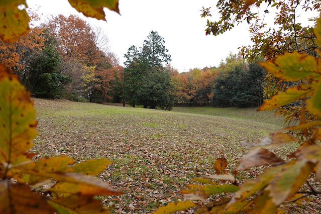 鳥取県西伯郡大山町富岡 むきばんだ史跡公園 虫の森