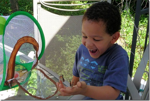 Butterfly release - two for one