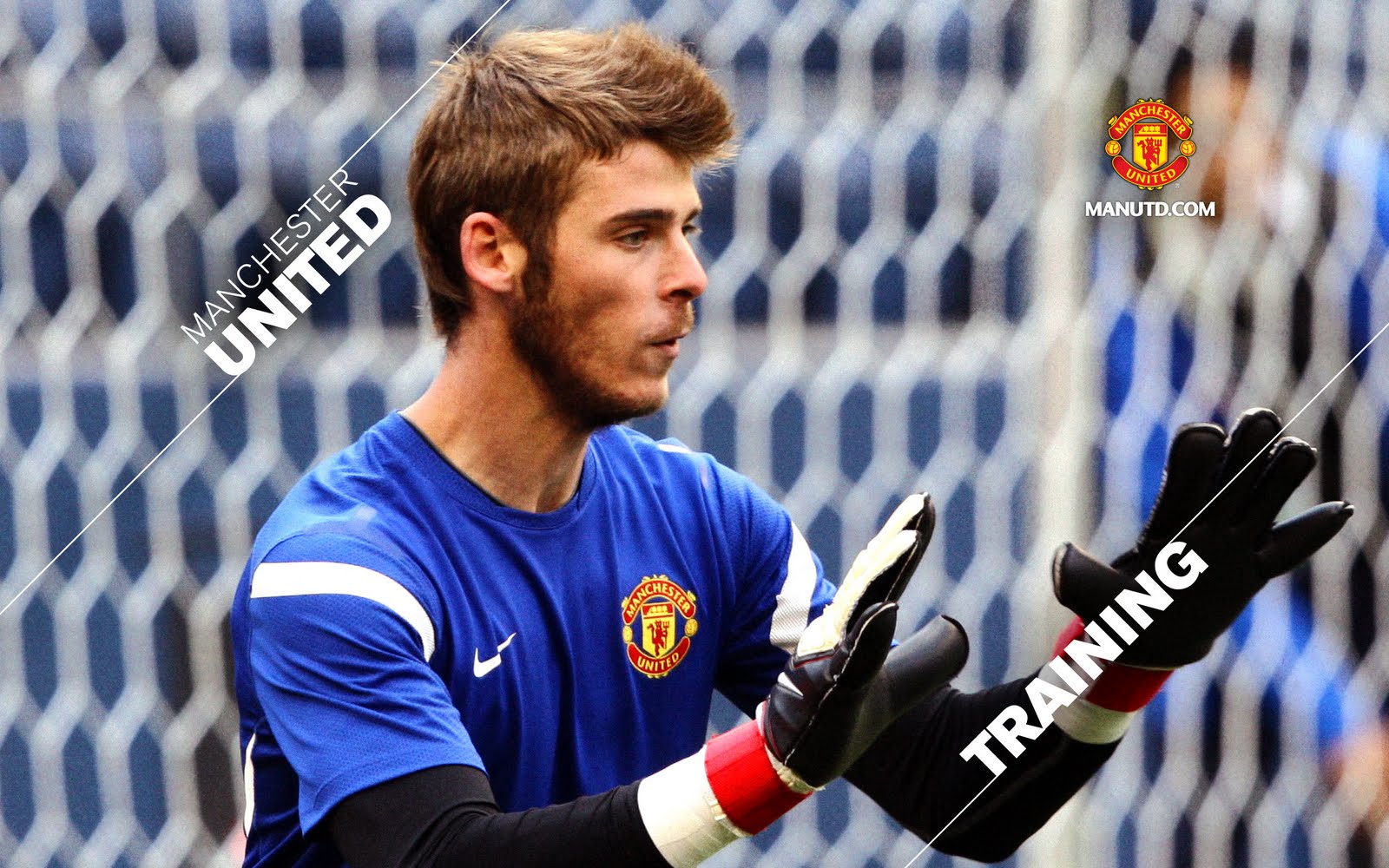 wallpaper david de gea wallpaper david de gea hd latest