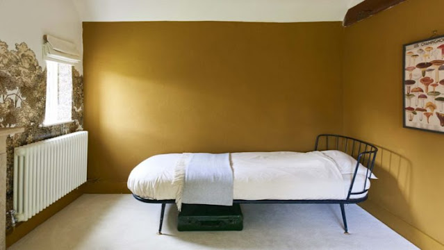 Mustard House Paint Color