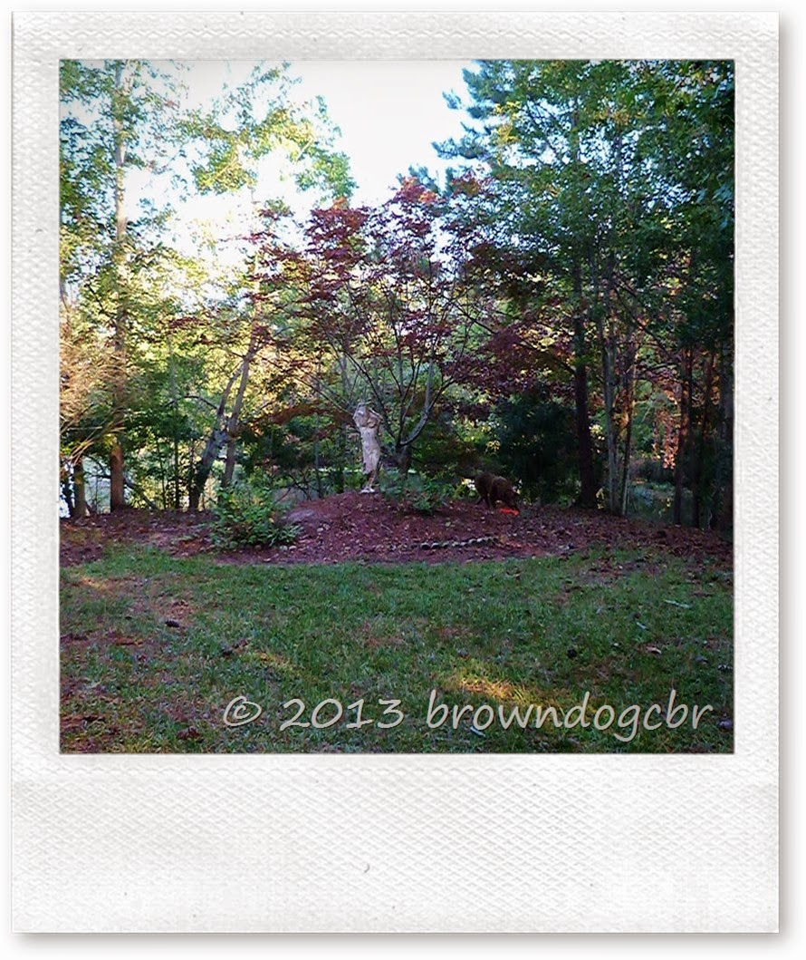 P1280859