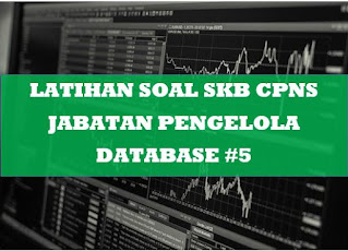 Latihan Soal SKB CPNS Jabatan Pengelola Database 5