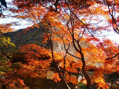  長壽寺の紅葉