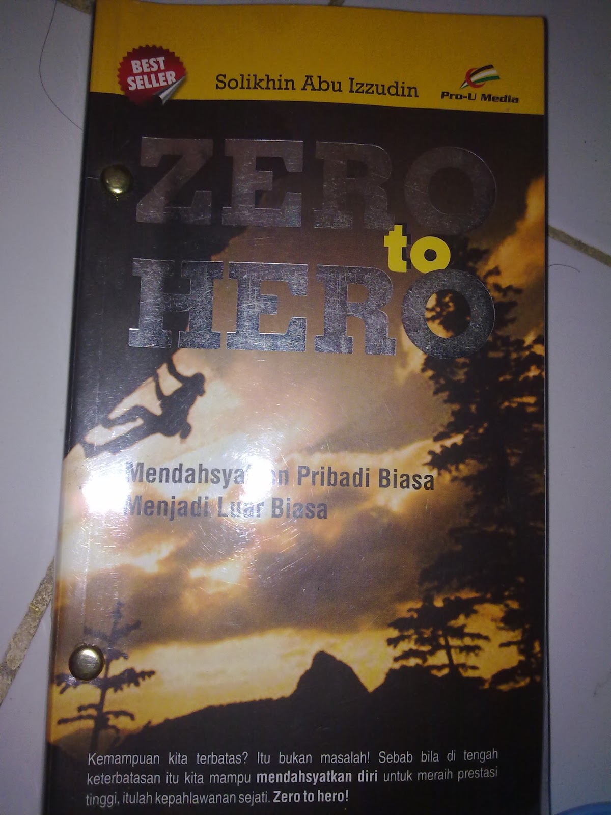 GORESAN SANG PEMULA: Review Buku From Zero to Hero Karya 