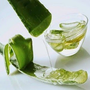 Remedios caseros: aloe vera