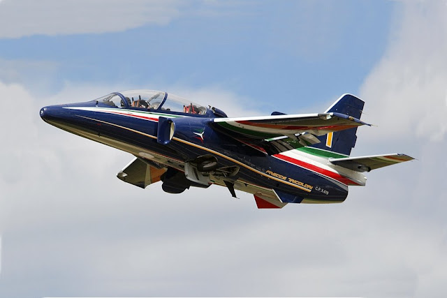 Frecce Tricolori Commander talks about new M345 trainer jet