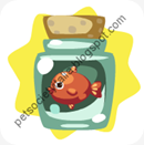 fishinajar
