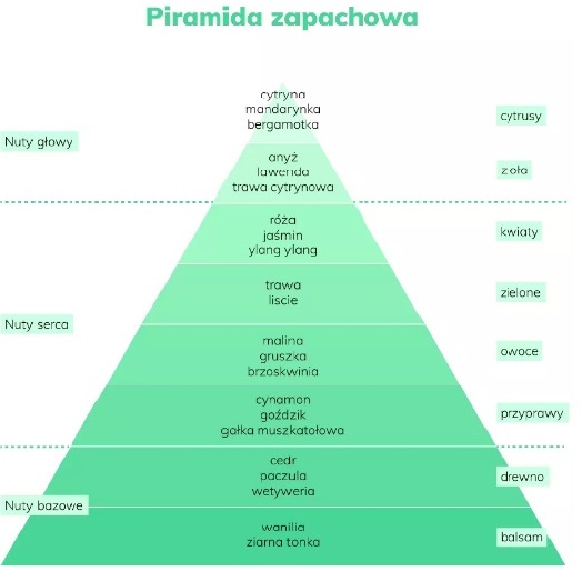 piramida zapachowa w perfumach mojalepszawersja.pl