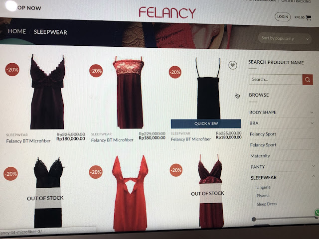 FELANCY WEBSITE LAUNCHING