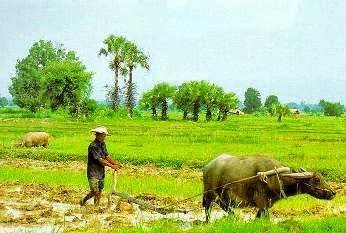 Catatan hidup Ternyata Kita Hanyalah Ruang Kosong