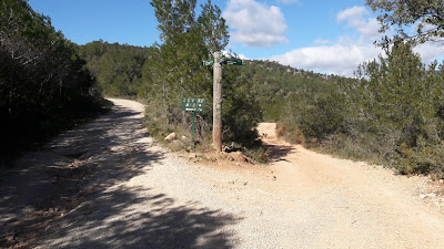 GR-7 MONT-RAL A LA RIBA, Camí d'Alcover al Coll de Gràcia