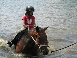 Swimming on horseback