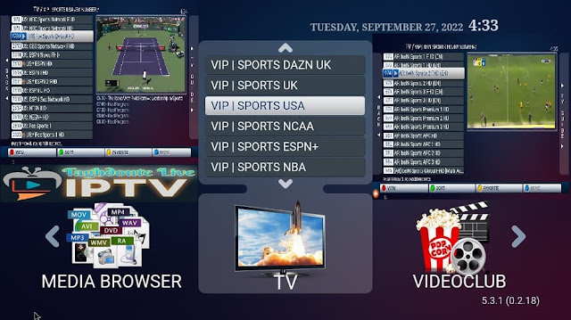 iptv stbemu smart portal iptv